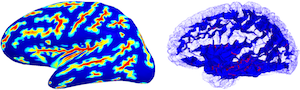 Mindboggle_Neuroinformatics2012.png